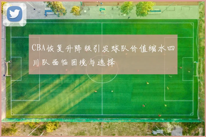 CBA恢复升降级引发球队价值缩水四川队面临困境与选择