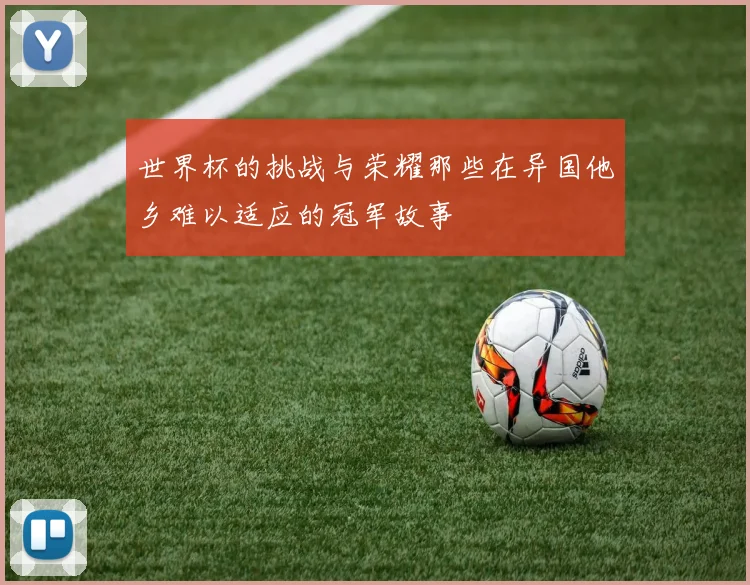 世界杯的挑战与荣耀那些在异国他乡难以适应的冠军故事