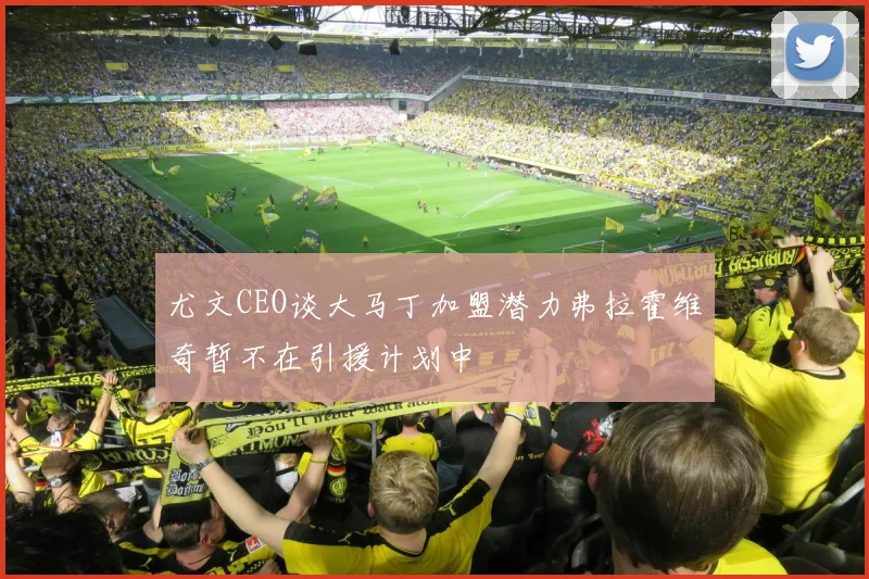 尤文CEO谈大马丁加盟潜力弗拉霍维奇暂不在引援计划中
