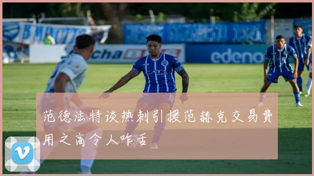 范德法特谈热刺引援范赫克交易费用之高令人咋舌